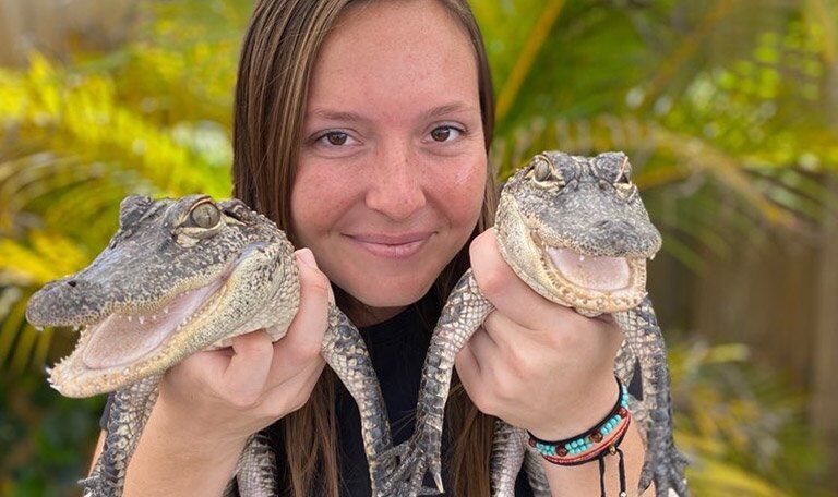 Everglades Animal Encounters
