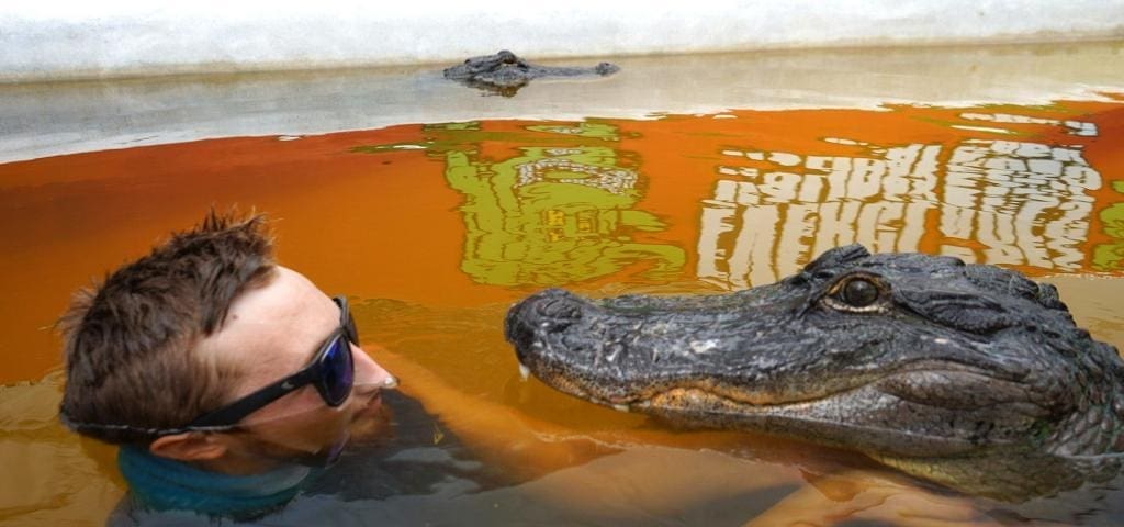 Kevin Snakeaholic Alligator at Everglades Holiday Park