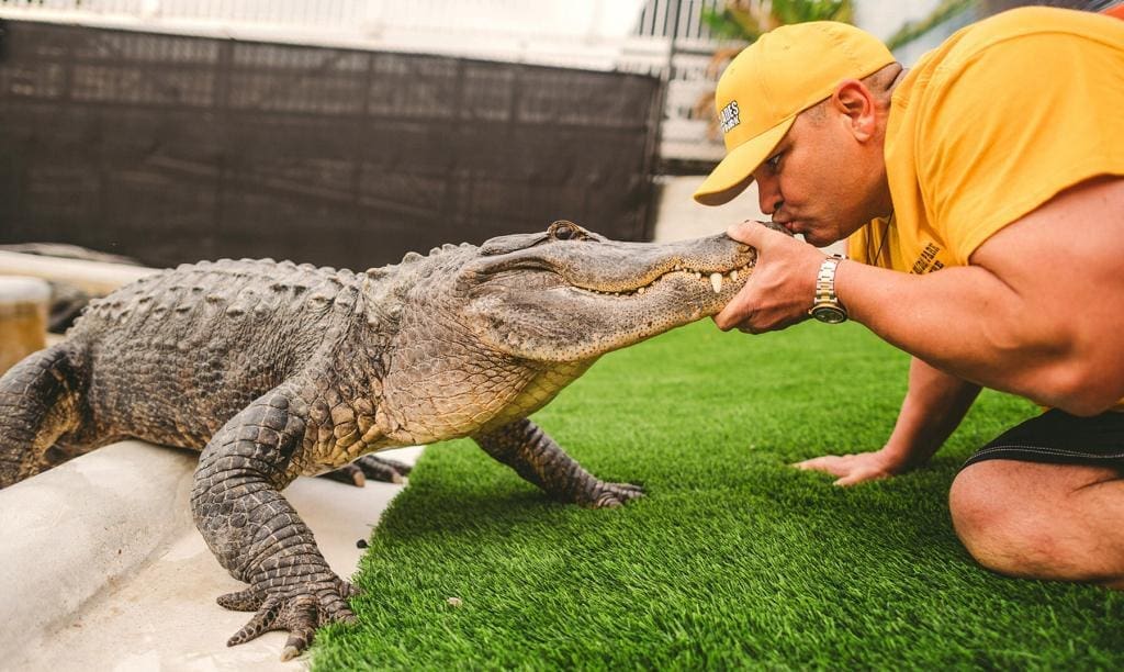 Discover the Wild Side: Day Trip to the Everglades from Miami