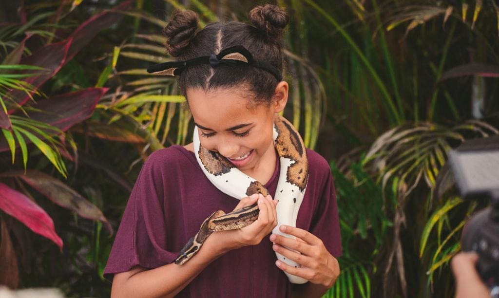 everglades attractions - animal encounters