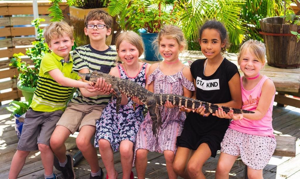 animal encounters - children holding baby alligator