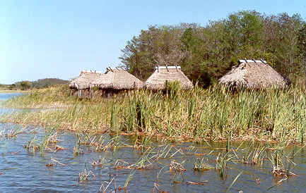 chickee huts of the indigenous tribes that live in the florida everglades