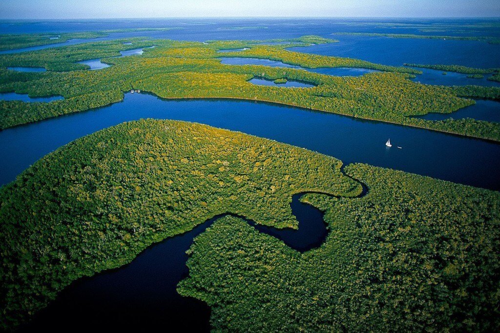 FAQ: best way to see the everglades | 10 Ways to Enjoy Everglades National Park
