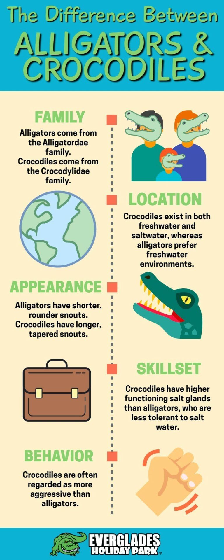 Difference between alligators and crocodiles - Infographic